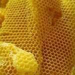 Beeswax